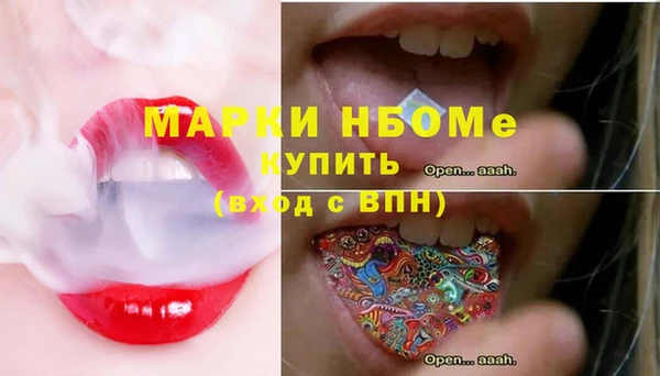 индика Снежинск
