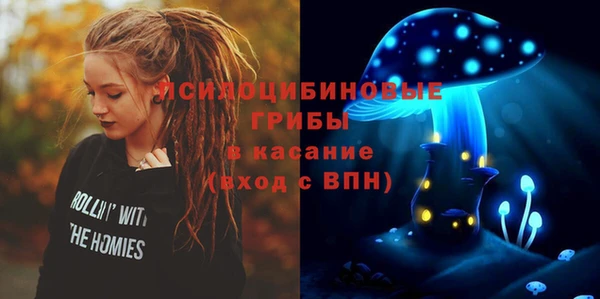 индика Снежинск