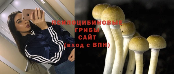 твердый Слюдянка