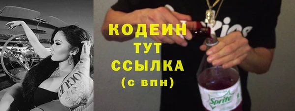 индика Снежинск