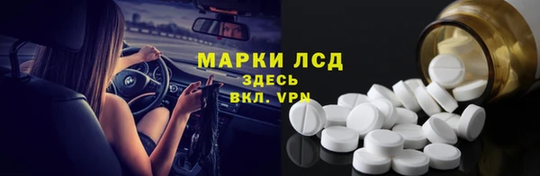 индика Снежинск