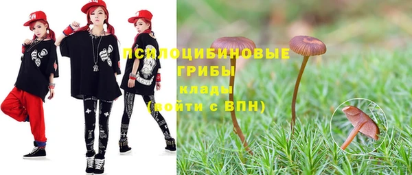 спайс Снежногорск