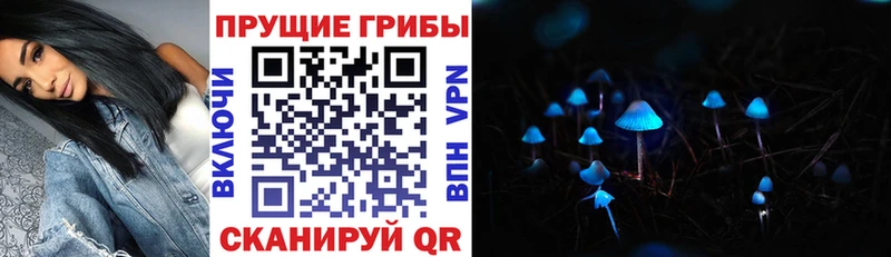 Галлюциногенные грибы Psilocybine cubensis Краснокамск